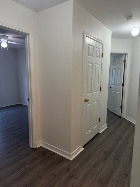 Building Photo - Spacious, Stylish, and Move-In Ready – 4-B...