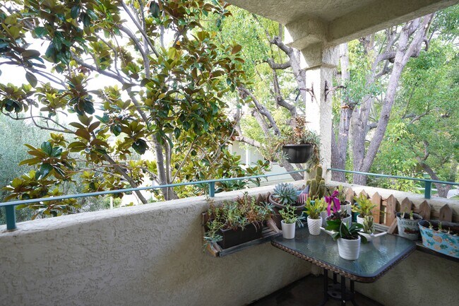 Building Photo - 4201 Las Virgenes Rd