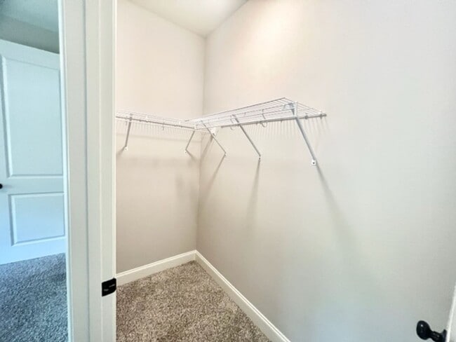 Building Photo - 113 Kailyn Ct