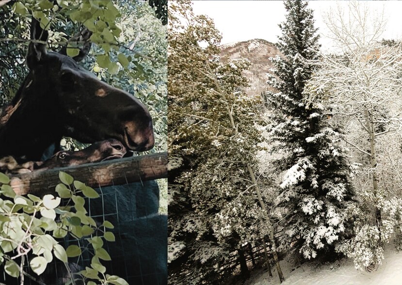 Building Photo - 7110 Stagecoach Dr