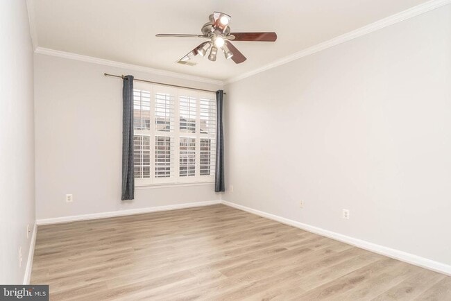 Building Photo - 8183 Carnegie Hall Ct