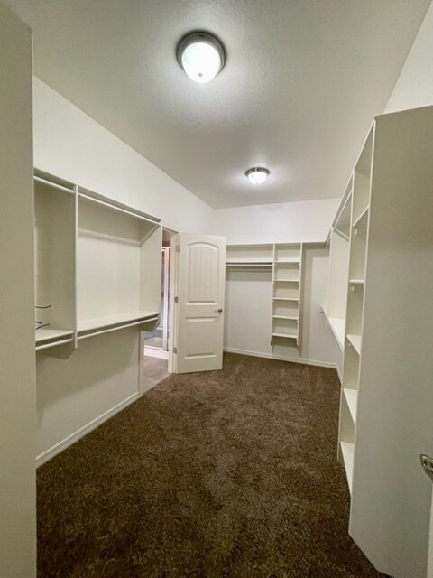 Building Photo - 2903 SW Briar Creek Ave