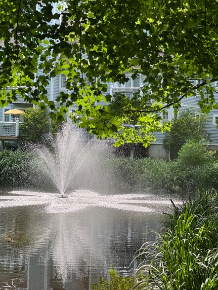 Building Photo - 523 Old Pond Ln