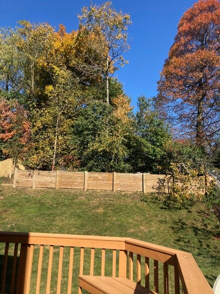 Building Photo - 3203 Trellis Ln