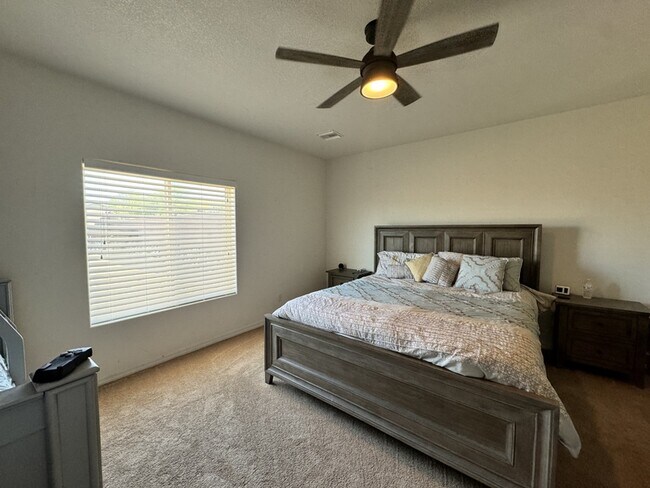 Building Photo - 2539 Bora Trl