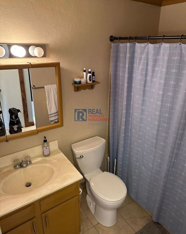 Building Photo - 831 Winchester Dr