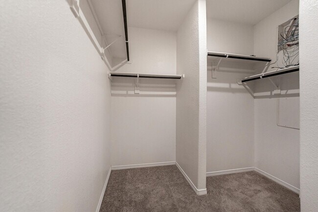 Building Photo - 5806 Aurora Grns Ln