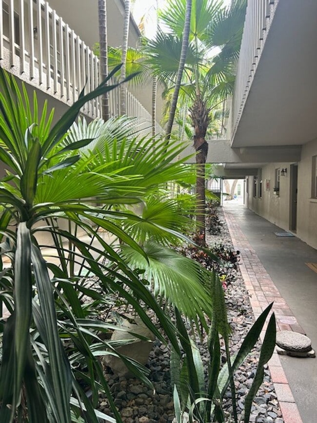 Building Photo - 2025/26 FALL/ WINTER MONTHLY  RENTAL ! FURNISHED - 5 MINUTES TO SIESTA BEACH