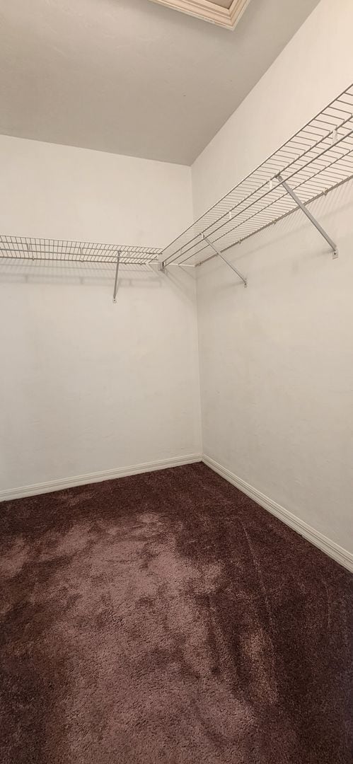 Building Photo - 3/3 Townhouse in Rockwood Villas – Great Location Near Bus Stop to UF!