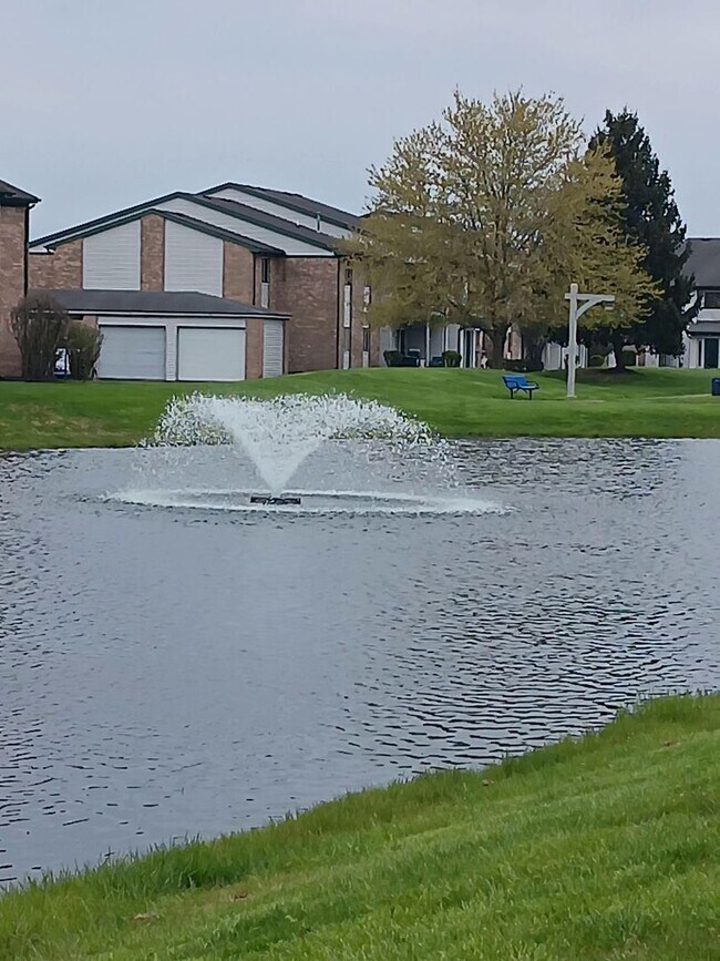 Building Photo - Downstairs 3-bedroom 2 bath with lakeview