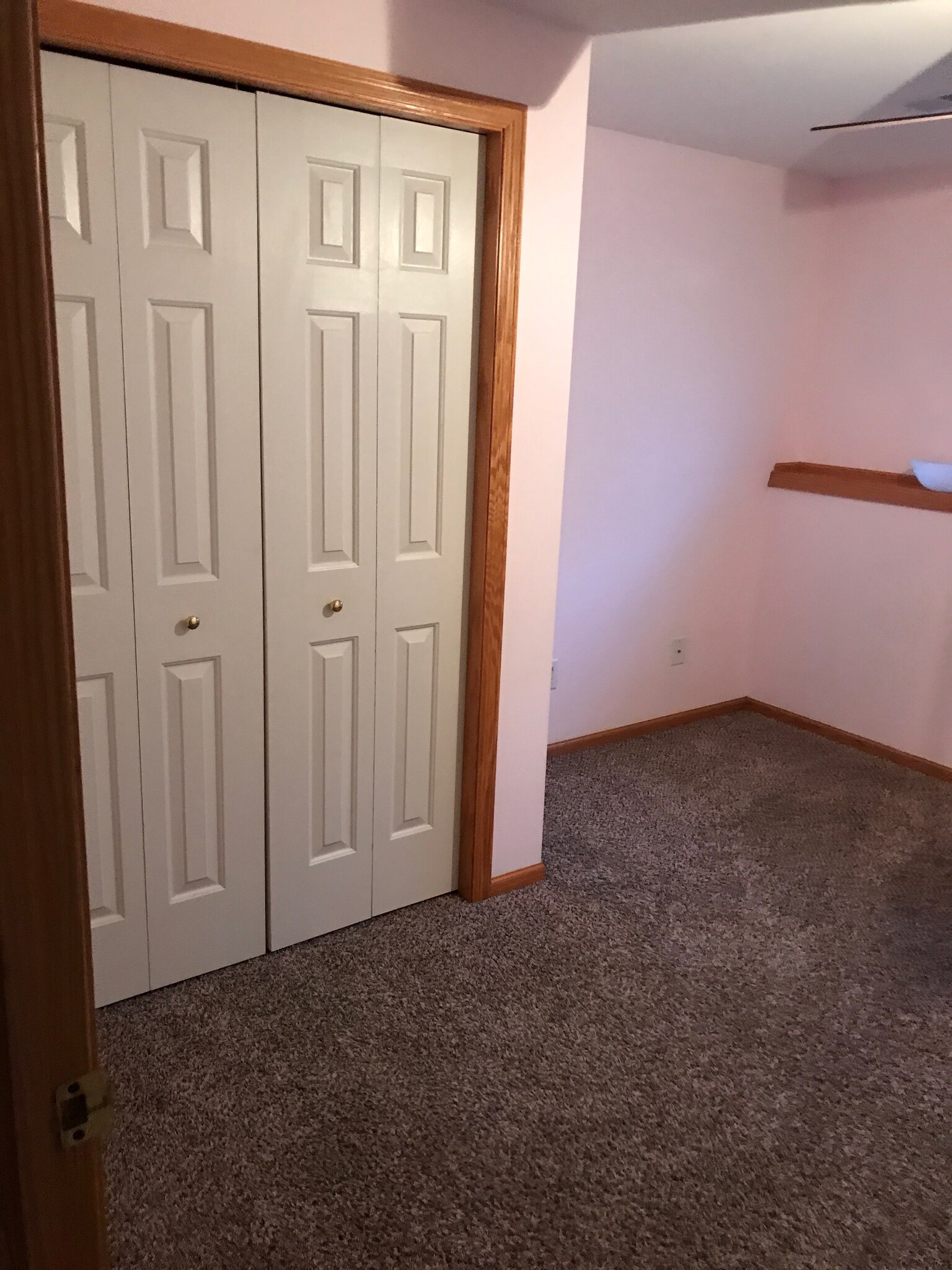 Lower Level Bedroom Closet - 1051 Tamarack Way