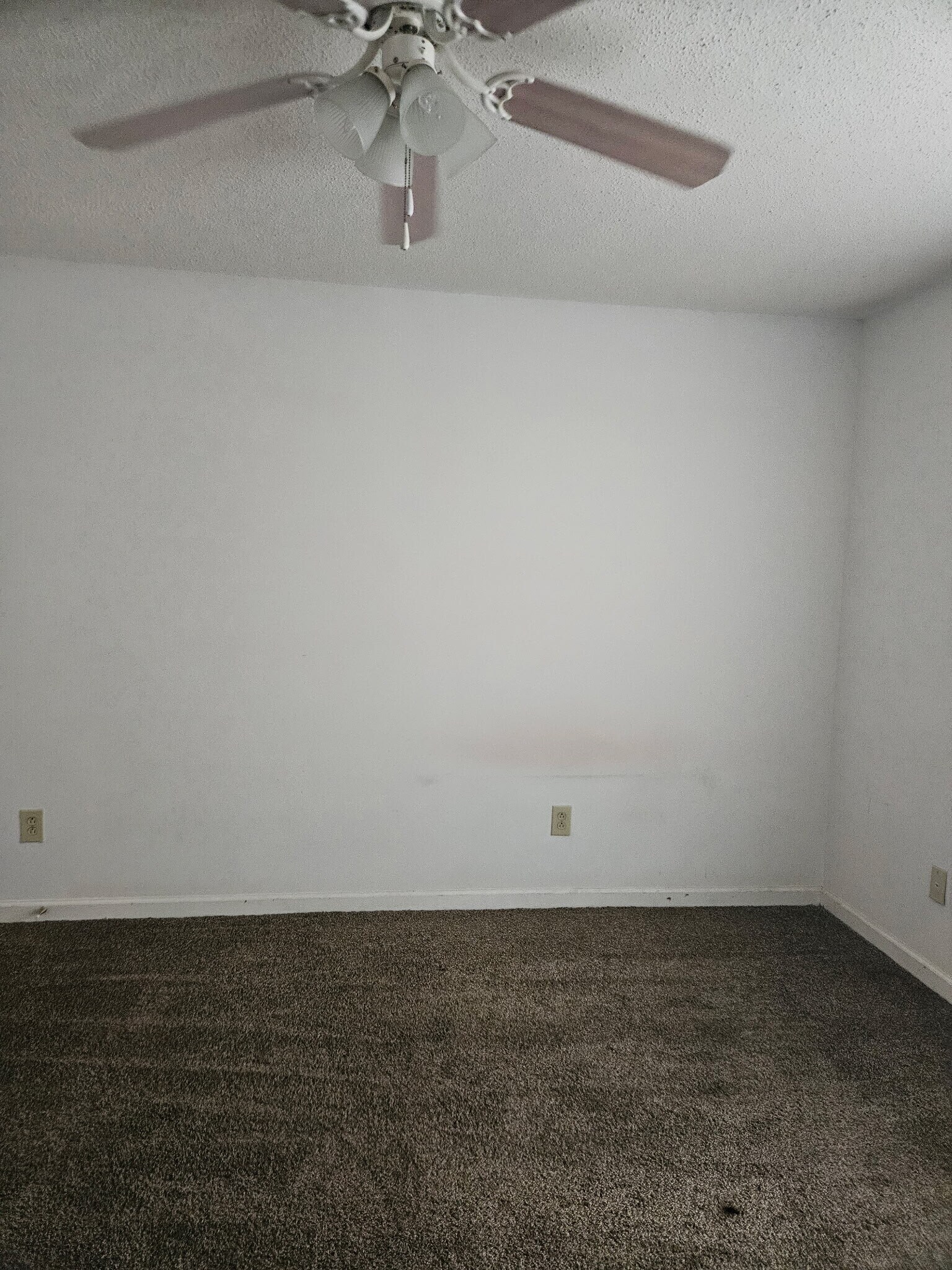 Building Photo - 2302 Raleigh Ct
