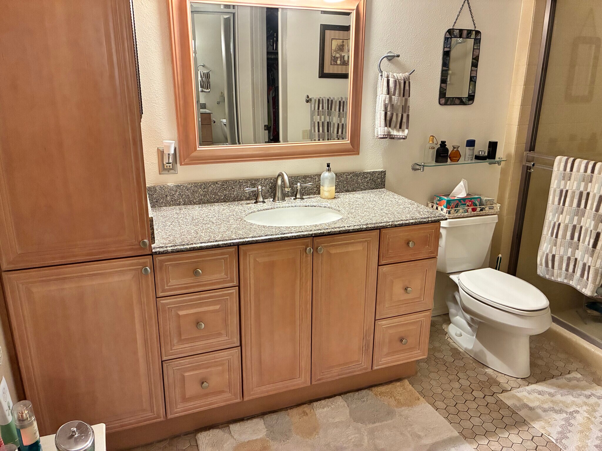 Primary bathroom - 1254 Tiffany Cir S