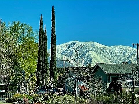 Building Photo - 450 Converse Ave