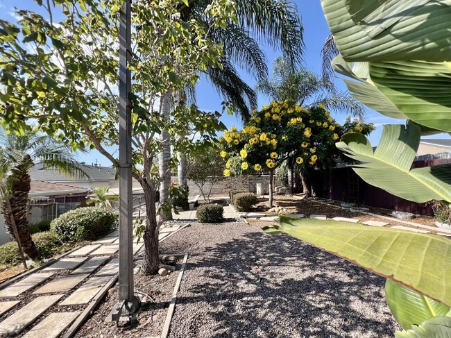 Building Photo - 6165 Blain Pl