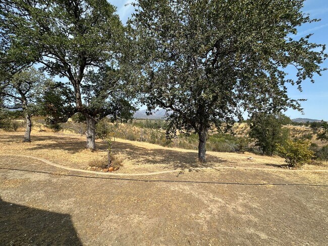 Building Photo - Private Country Retreat on 5 Acres – Moder...