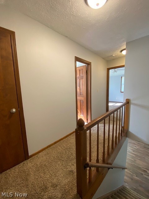 Building Photo - 1301 Shannon Rd