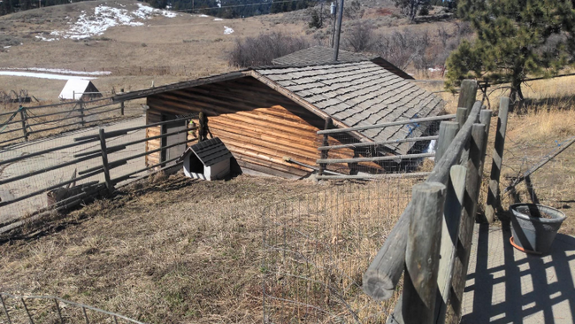 Building Photo - 77 Muir Rd