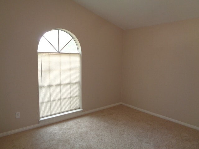 Building Photo - 12607 Big Stone Dr