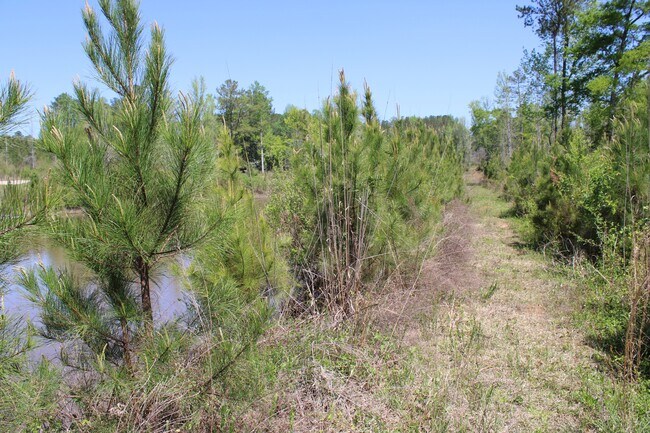 Building Photo - 818 W Grantville Rd