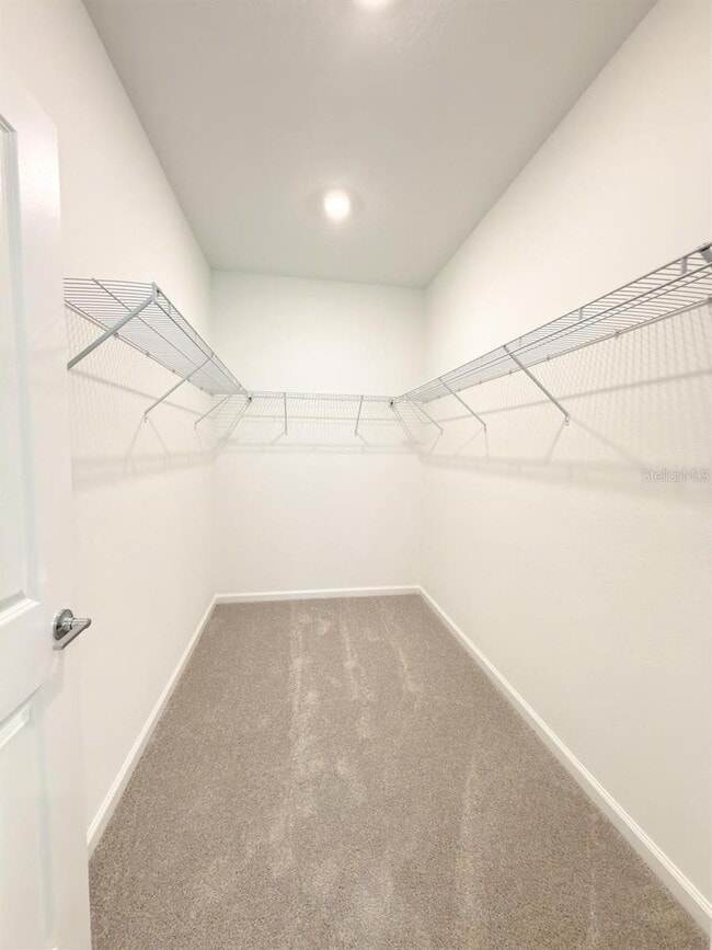 Building Photo - 2509 Spring Tune Aly