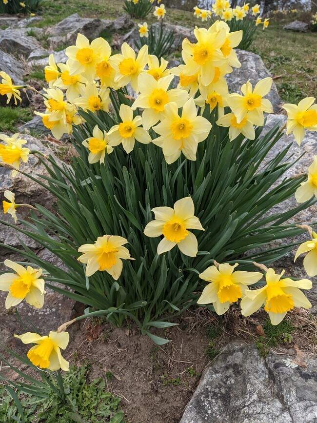 Building Photo - 24 Warren Ave