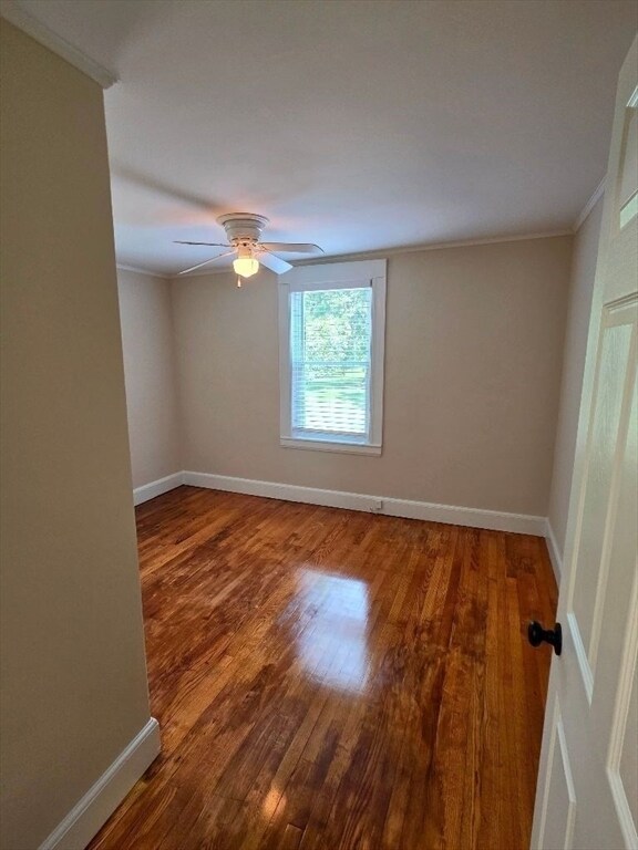 Building Photo - 441 Walpole St
