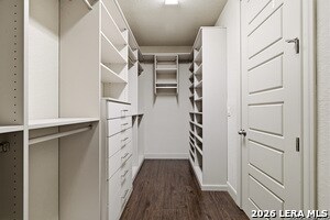 Building Photo - 4438 Saddle Spur