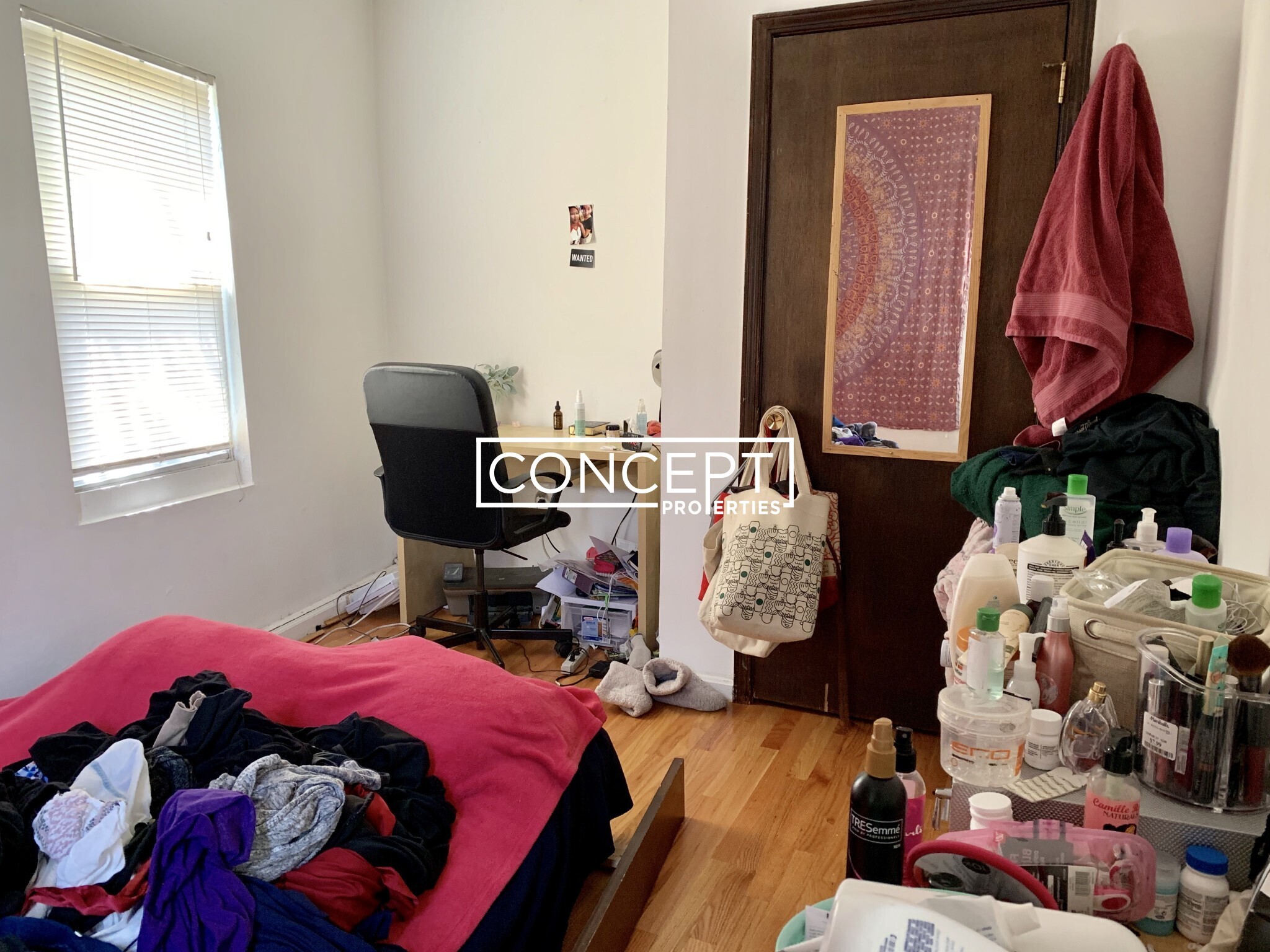 Building Photo - 8 Shepard St