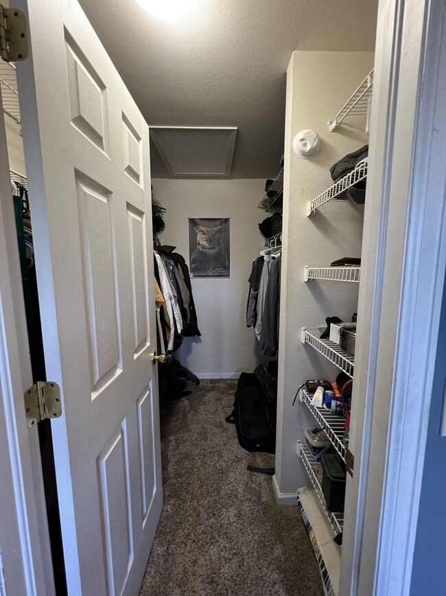 Large walk in closet - 4670 White Rock Cir