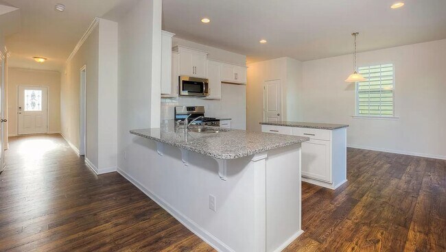 Building Photo - Spacious Newer Construction In Candler