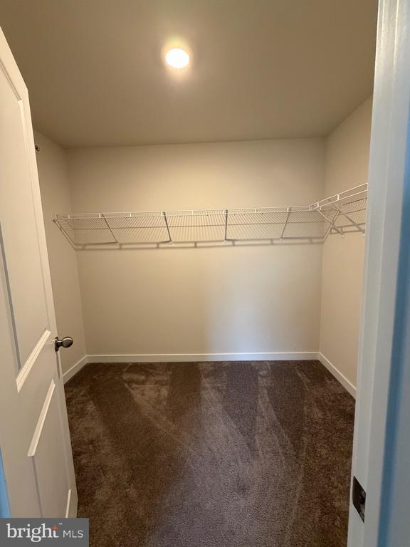 Building Photo - 127 Painters Wy