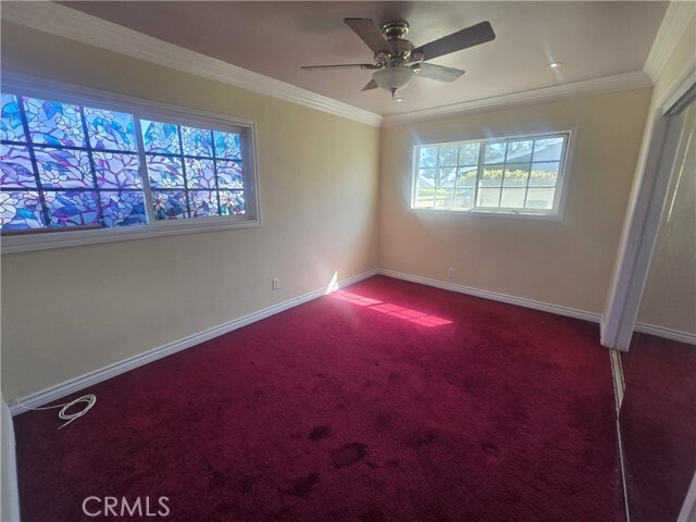 Building Photo - 9502 Schooling Rd