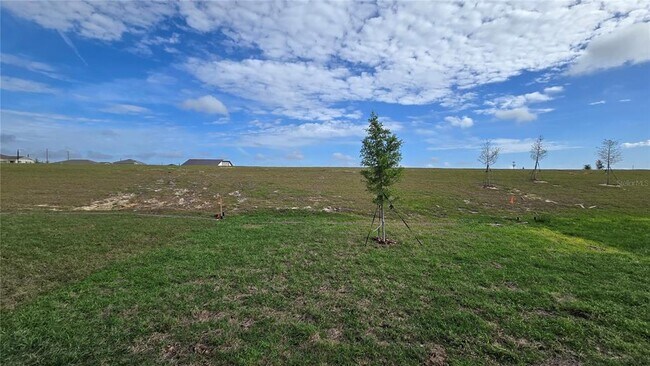 Building Photo - 3363 Alexander Dr