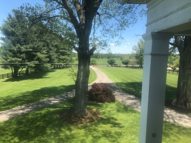 Building Photo - Kentucky mansion overlooking horse farm with stunning views    260308