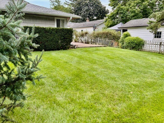 Building Photo - 531 Pinecrest Ln