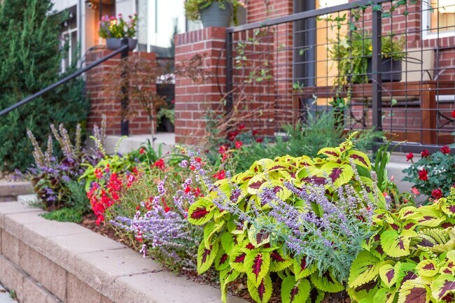 Building Photo - Modern 3-Bedroom Townhome in Midtown Denve...