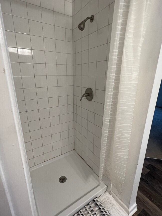 Master shower - 1263 Brookstone Rd