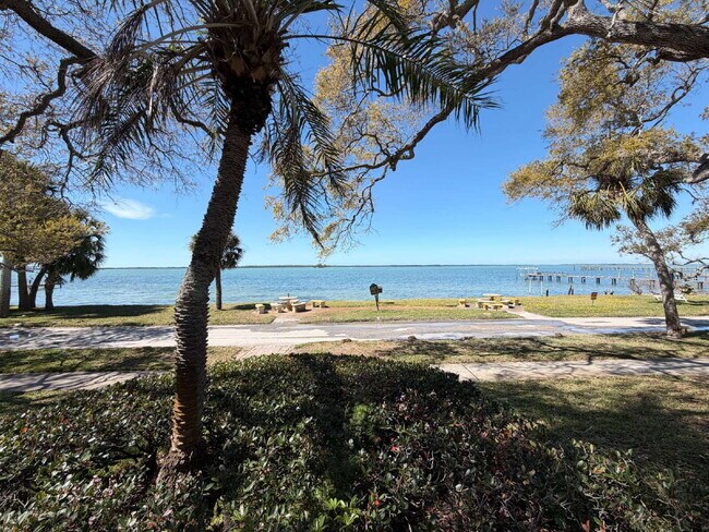 Building Photo - "Charming 1-Bedroom Condo Retreat in Dunedin's Heart - Cozy, Convenient & Inviting!"