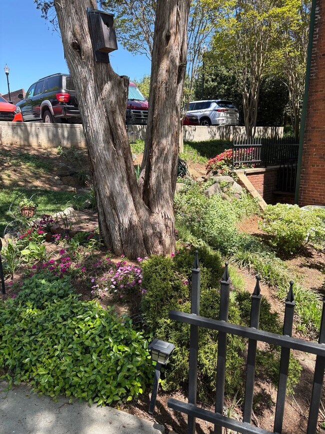 Building Photo - Lovely 2 Bedroom 2 full Bath Historical  Condo in Downtown Easley! Lawn Care and Trash Pickup inc...