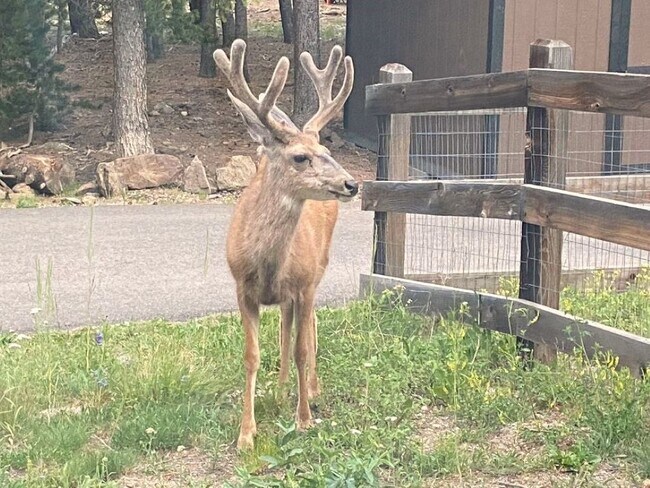 Building Photo - 28 Valley View Ln