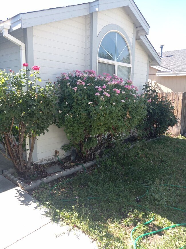 Building Photo - 546 Rawe Peak Dr