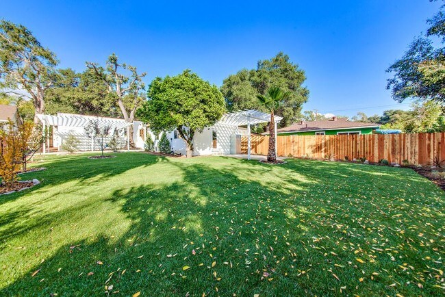 Backyard 2 - 100 W Tremont St