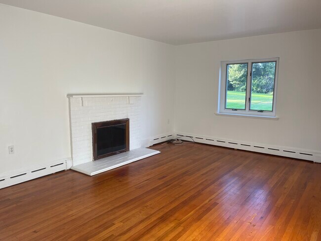 Fireplace is decorative only - 14 Balmville Rd