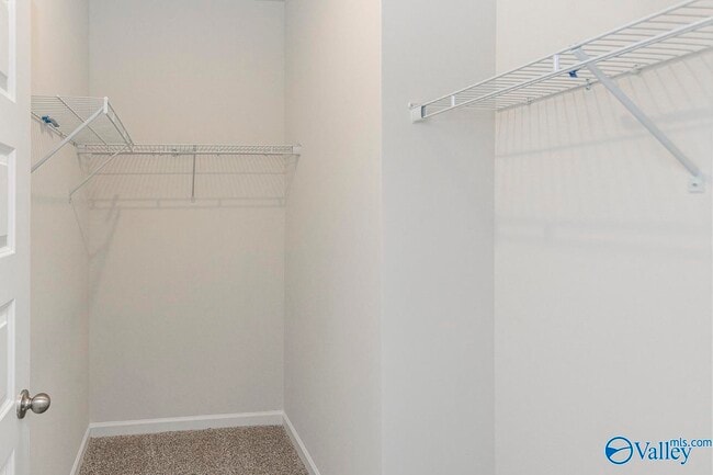 Building Photo - 103 Betty Williams Dr