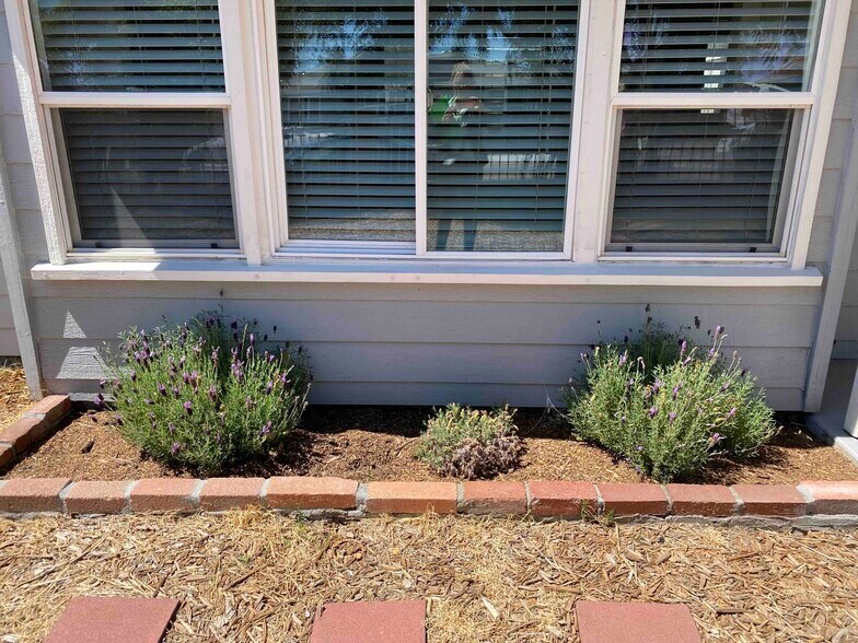 Front window - 7610 Lansing Dr