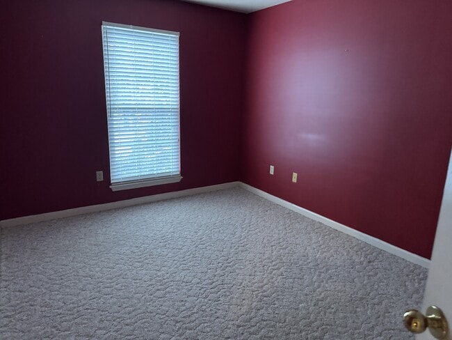 Building Photo - 916 Palomino Ln