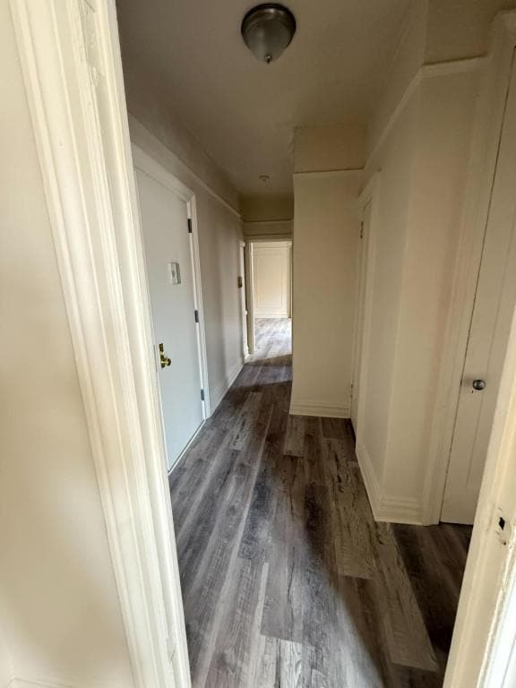 Building Photo - 36 Bruce Ave