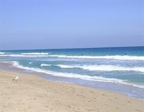 Building Photo - 1421 S Ocean Blvd