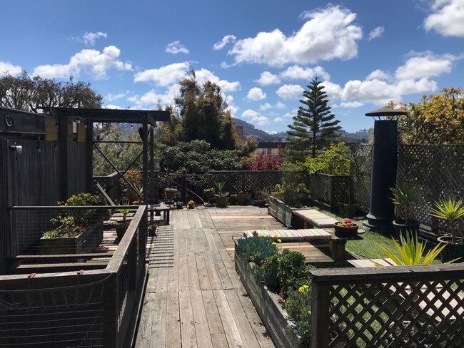 Building Photo - 3985 Sacramento St